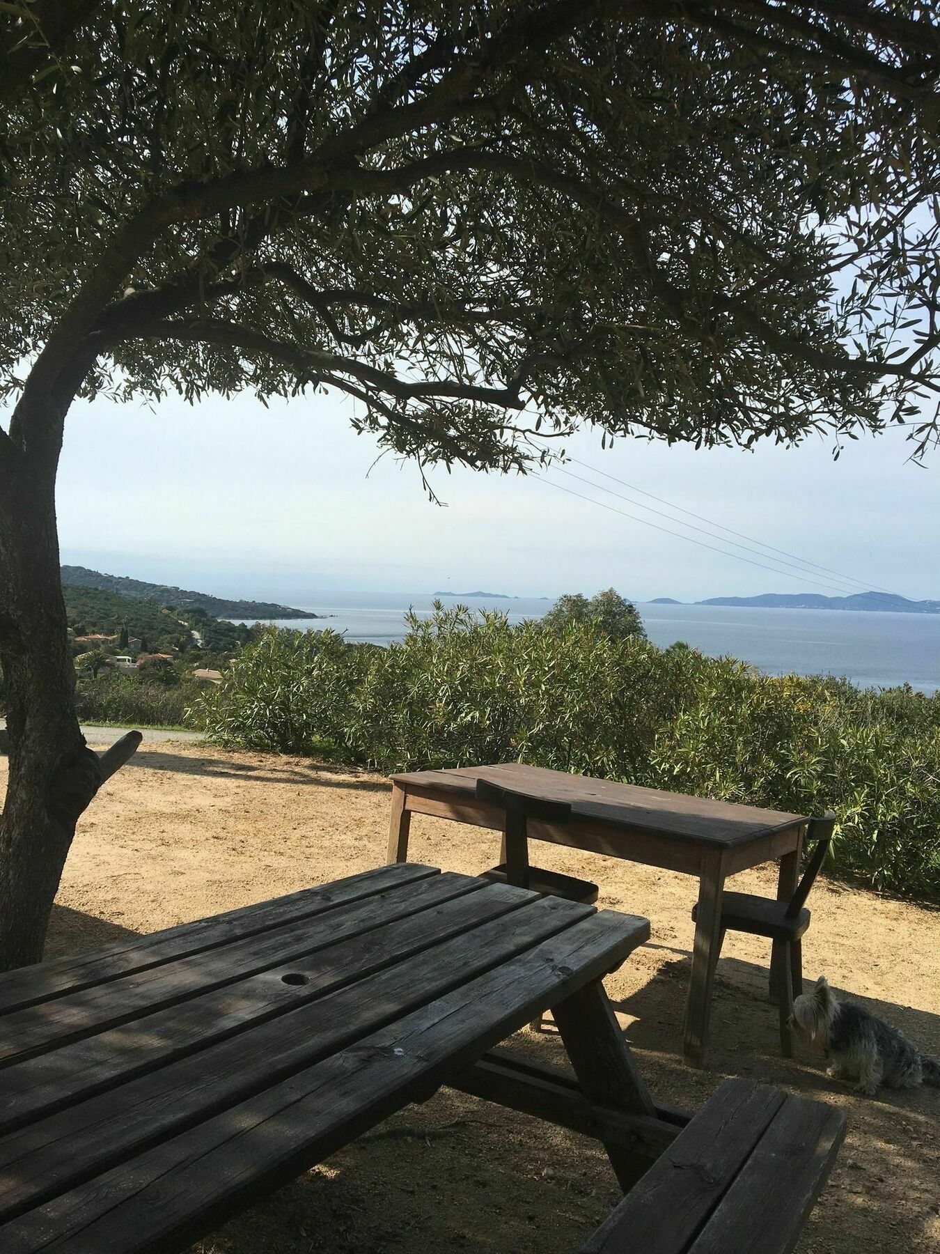 Hotel Celine Coti Chiavari Bagian luar foto